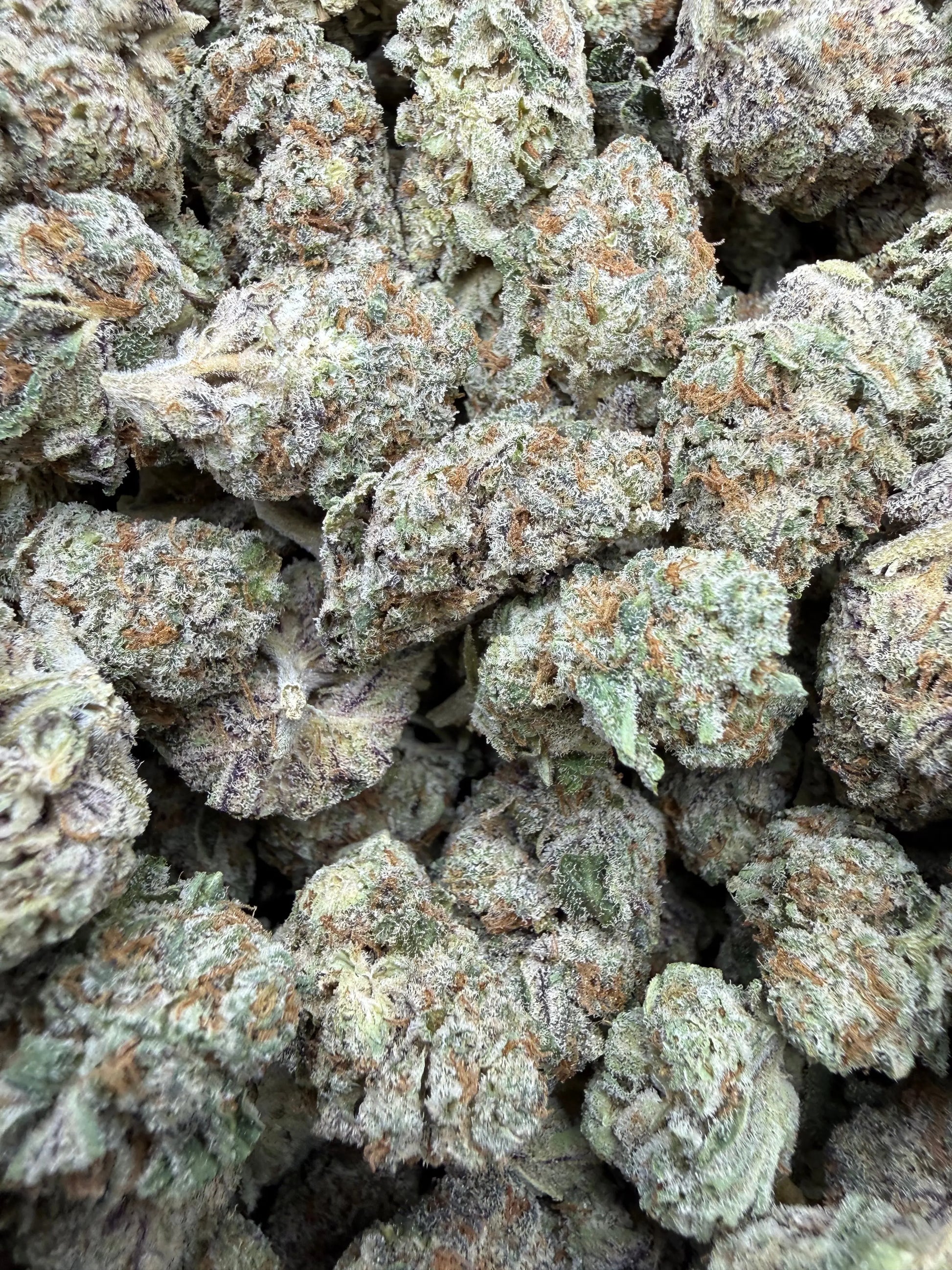 1 Pound - White Afghani THCA Strain Frisco Labs