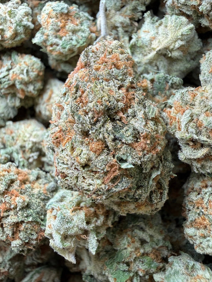 1 Pound - Why U Gelly THCA Strain Frisco Labs