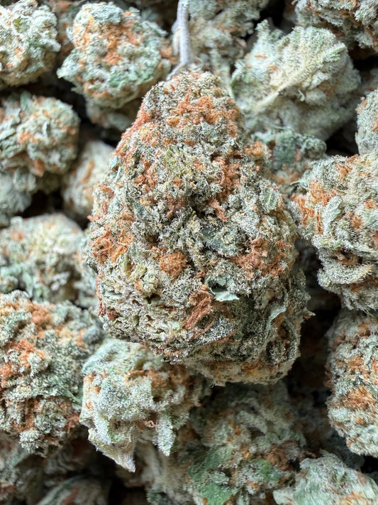 1 Pound - Why U Gelly THCA Strain Frisco Labs