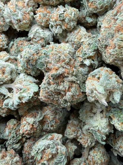 1 Pound - Why U Gelly THCA Strain Frisco Labs