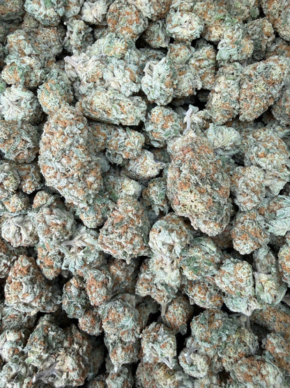 1 Pound - Why U Gelly THCA Strain Frisco Labs