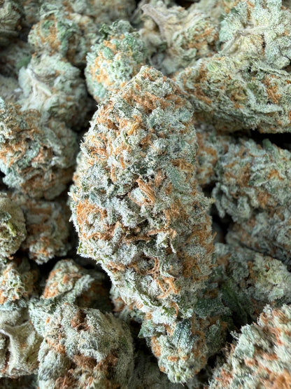 1 Pound - Why U Gelly THCA Strain Frisco Labs