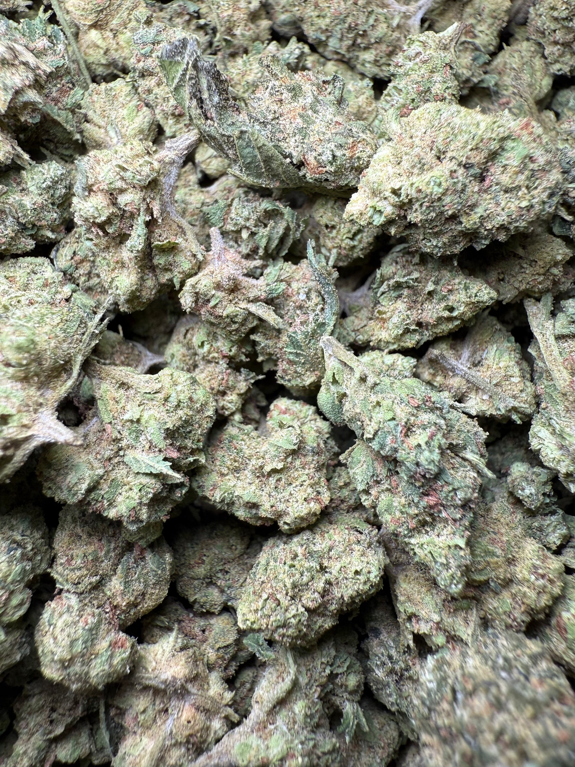 1 Pound - Wild Card THCA Strain (Small) Frisco Labs