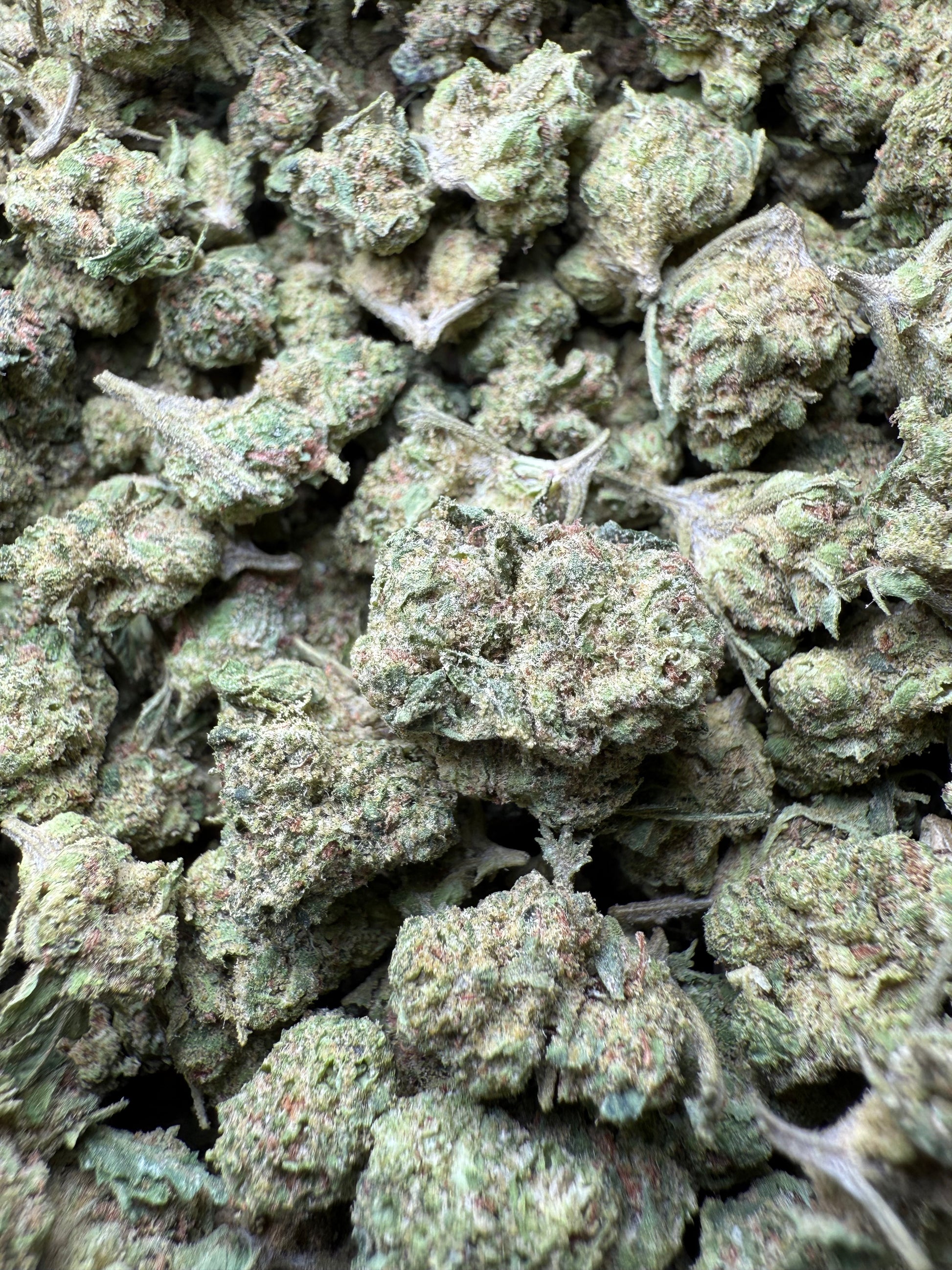 1 Pound - Wild Card THCA Strain (Small) Frisco Labs