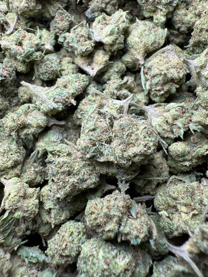 1 Pound - Wild Card THCA Strain (Small) Frisco Labs