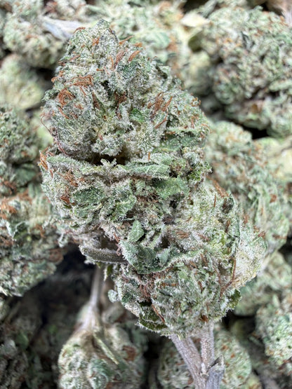 1 Pound - Yeet THCA Strain Frisco Labs