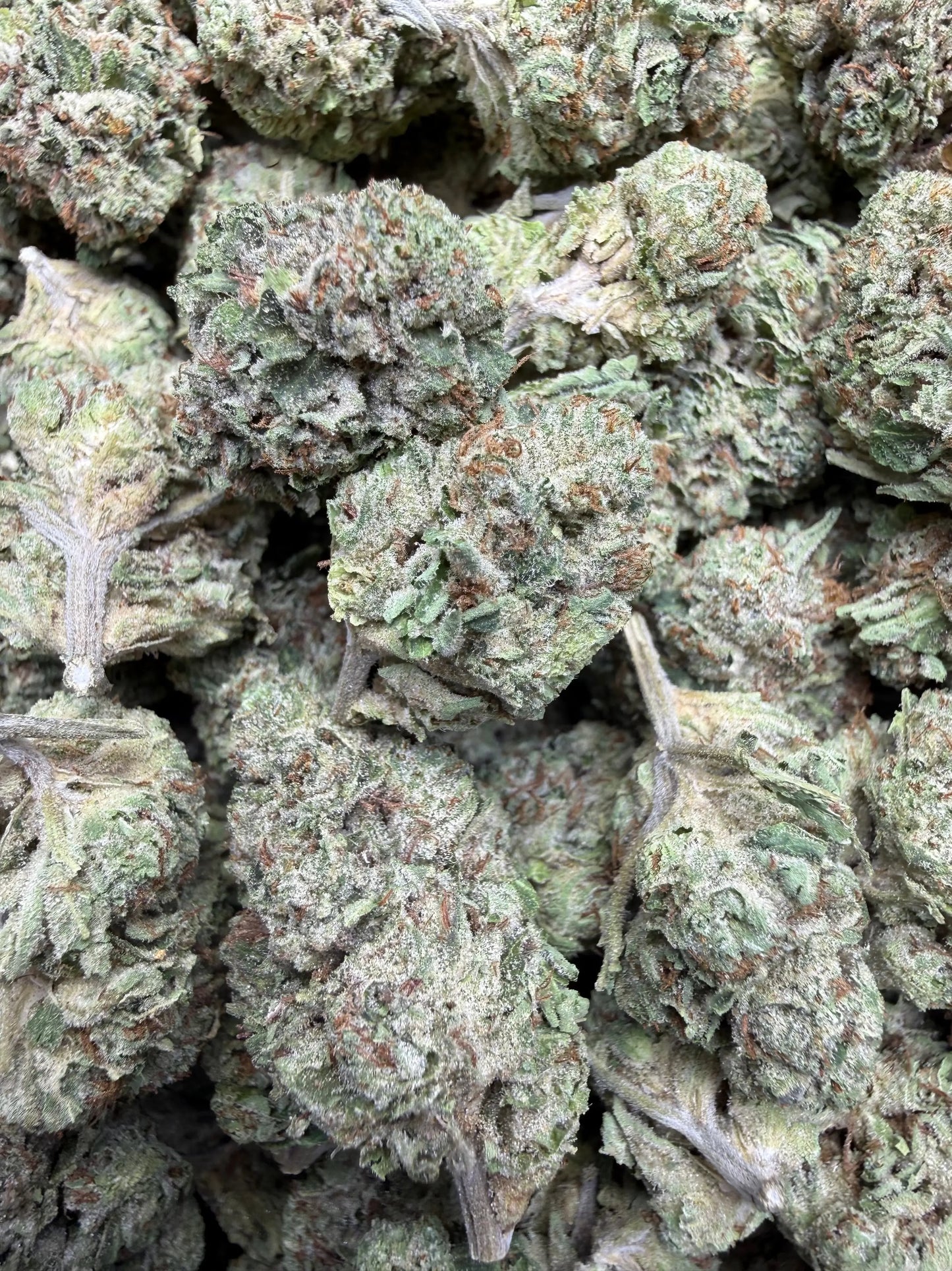 1 Pound - Yeet THCA Strain Frisco Labs