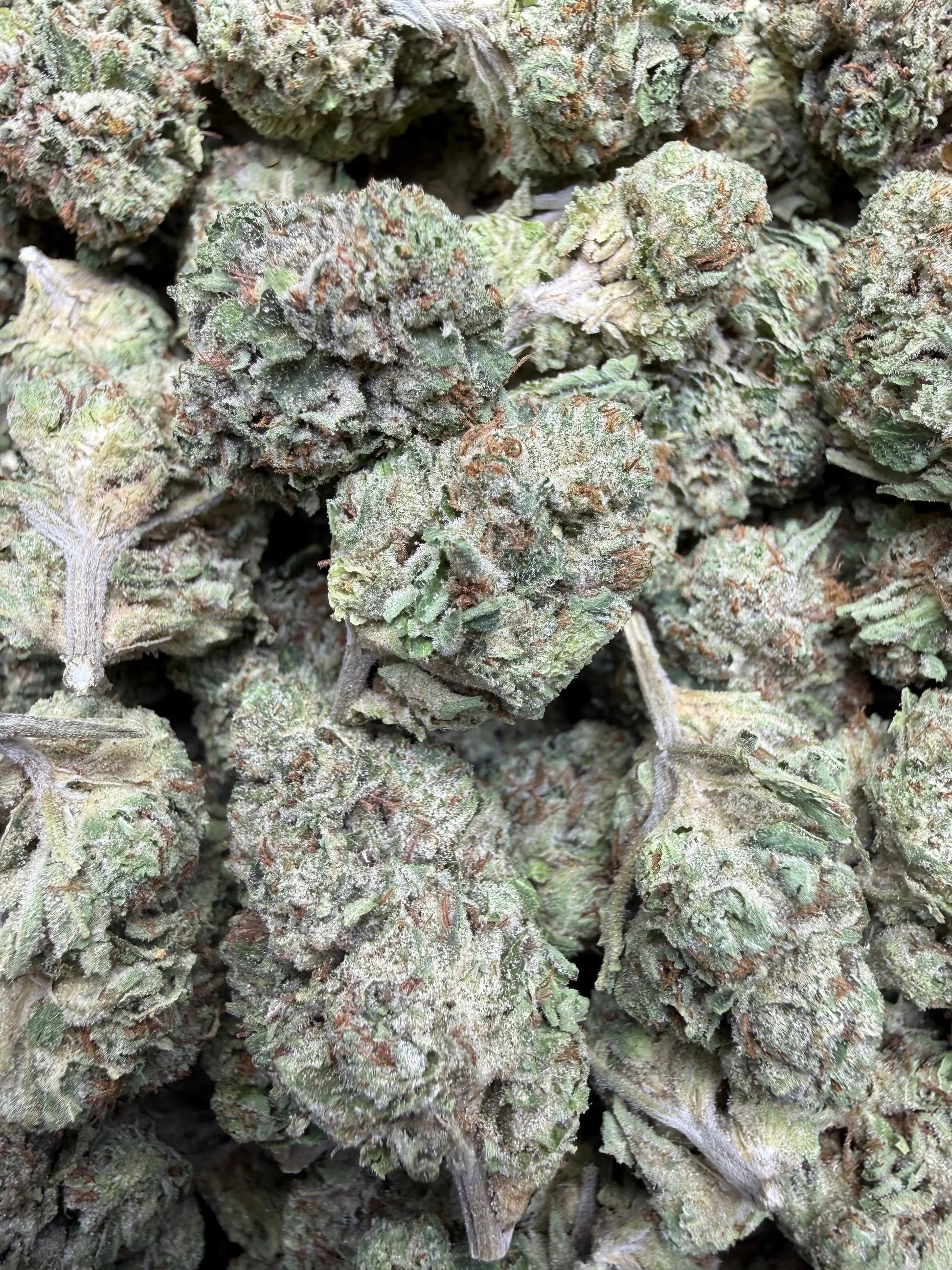 1 Pound - Yeet THCA Strain Frisco Labs