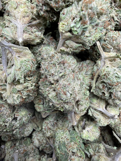 1 Pound - Yeet THCA Strain Frisco Labs