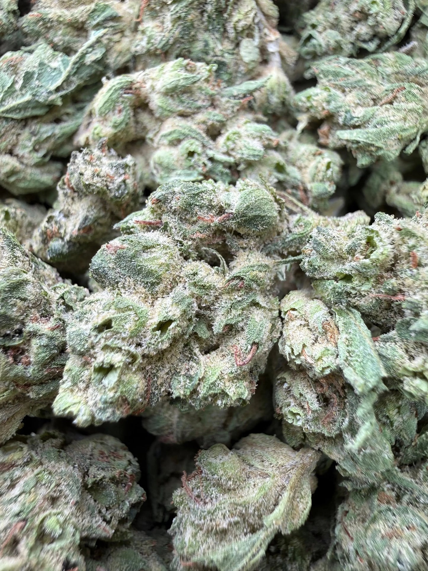 1 Pound - Zlurpe Lulu THCA Strain (Small) Frisco Labs