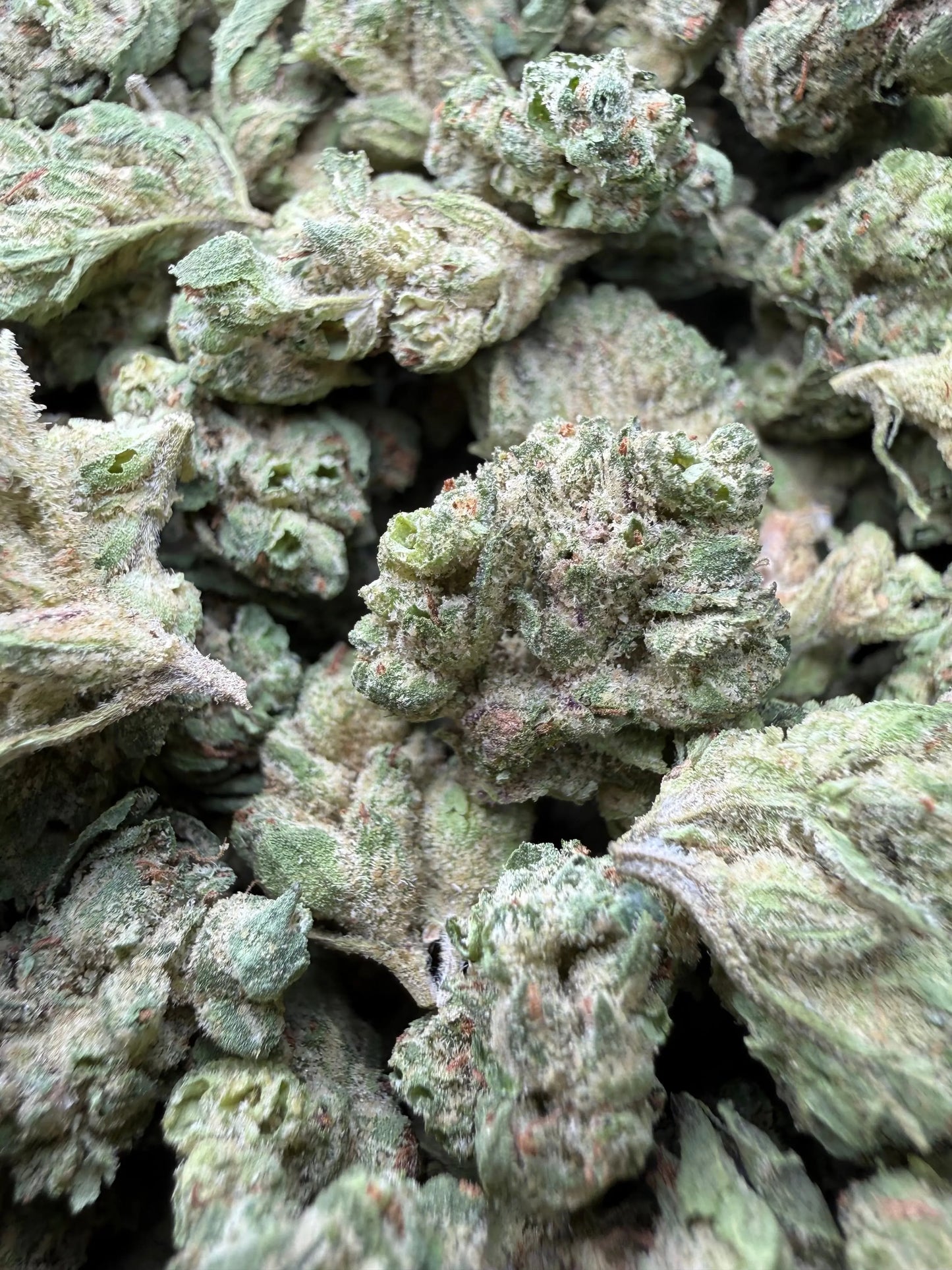 1 Pound - Zlurpe Lulu THCA Strain (Small) Frisco Labs