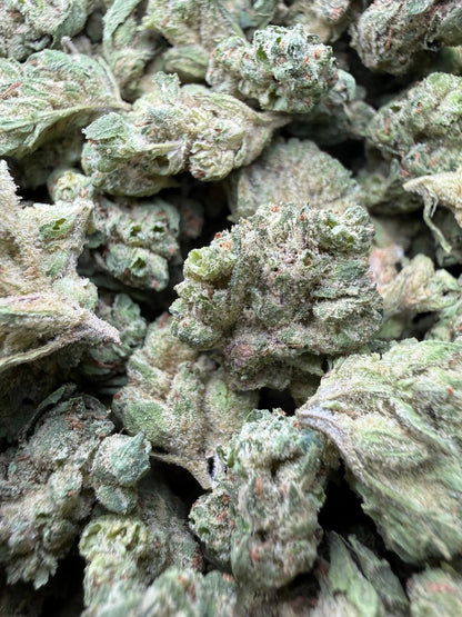 1 Pound - Zlurpe Lulu THCA Strain (Small) Frisco Labs
