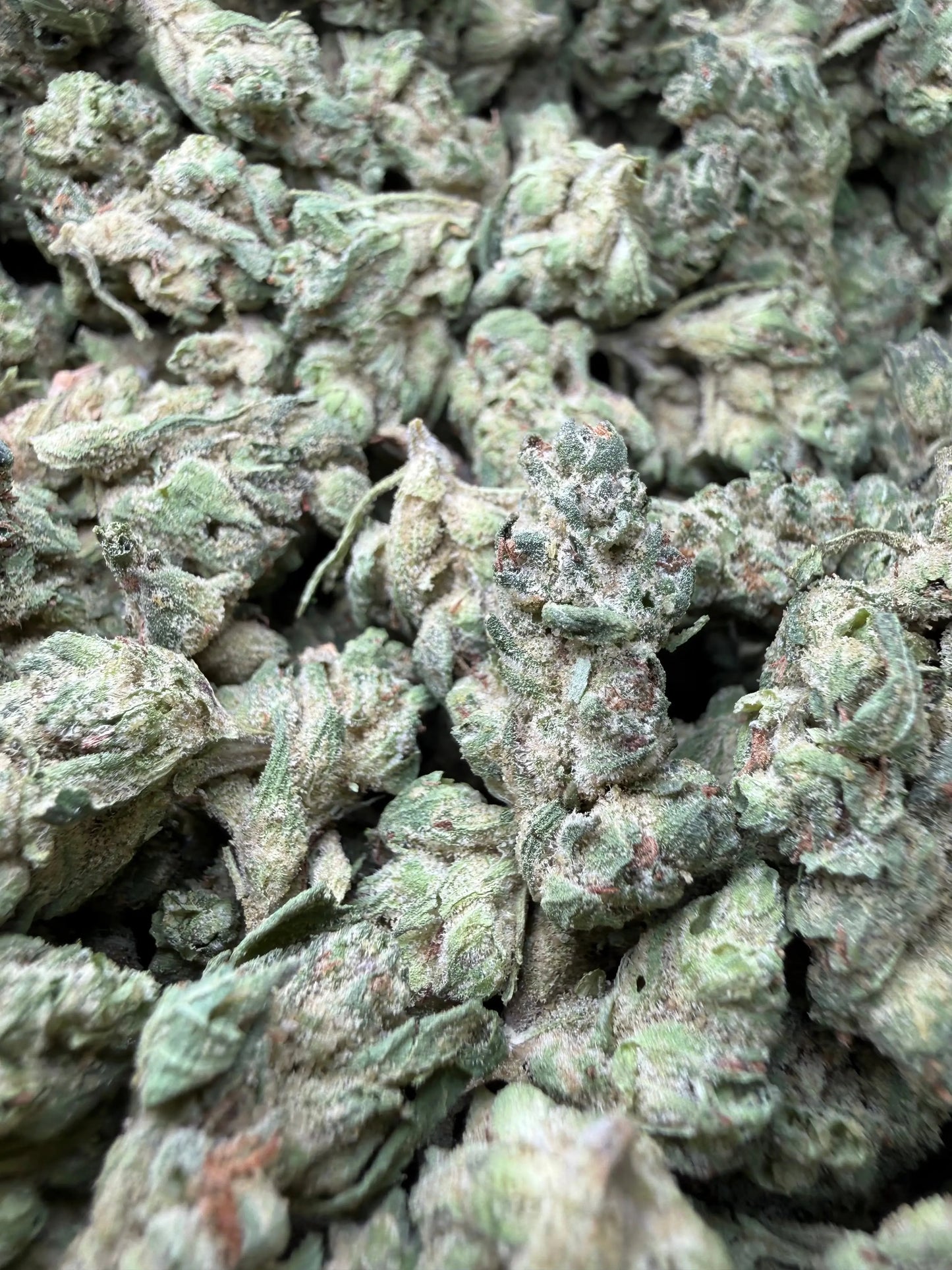 1 Pound - Zlurpe Lulu THCA Strain (Small) Frisco Labs