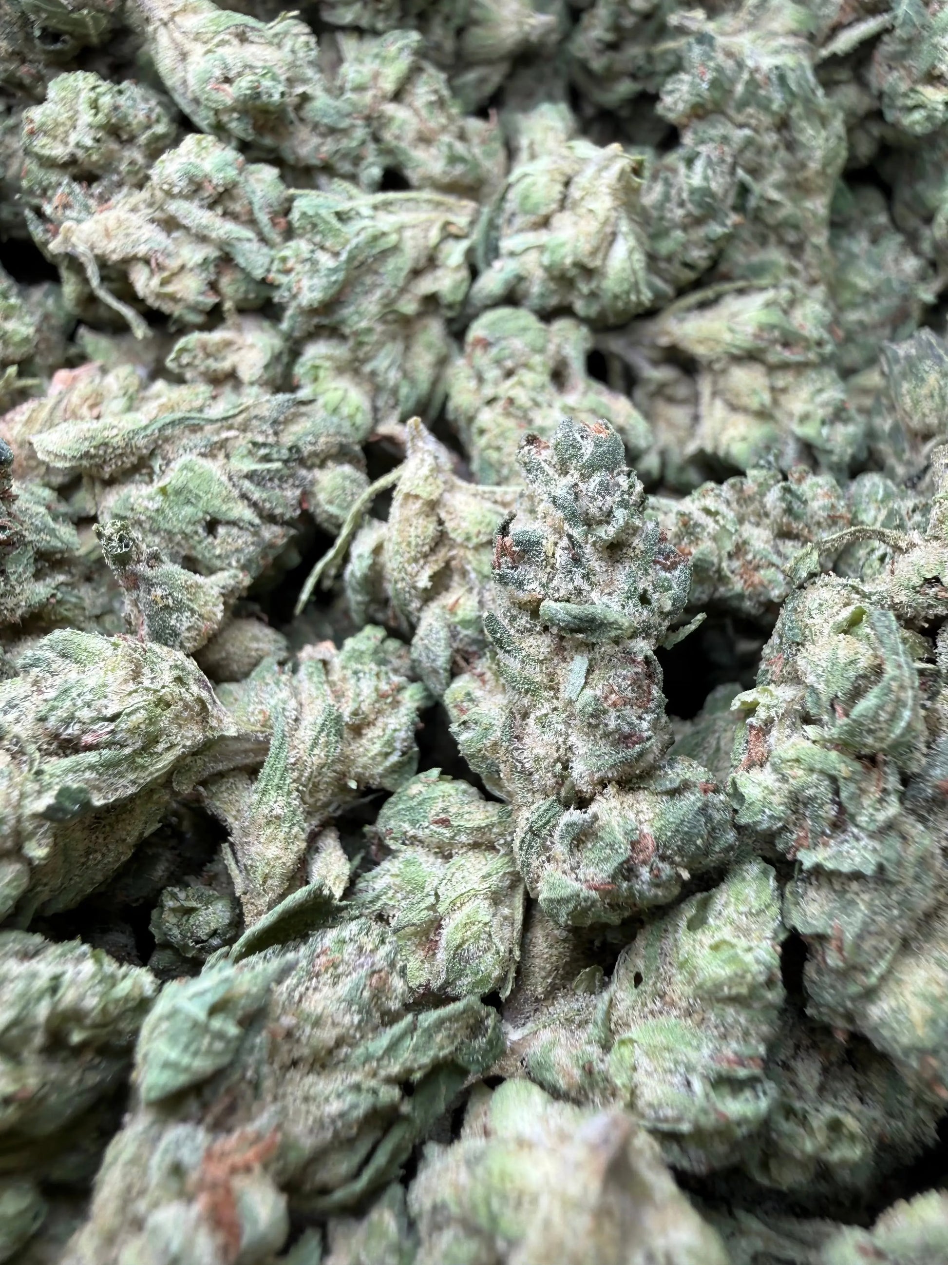 1 Pound - Zlurpe Lulu THCA Strain (Small) Frisco Labs