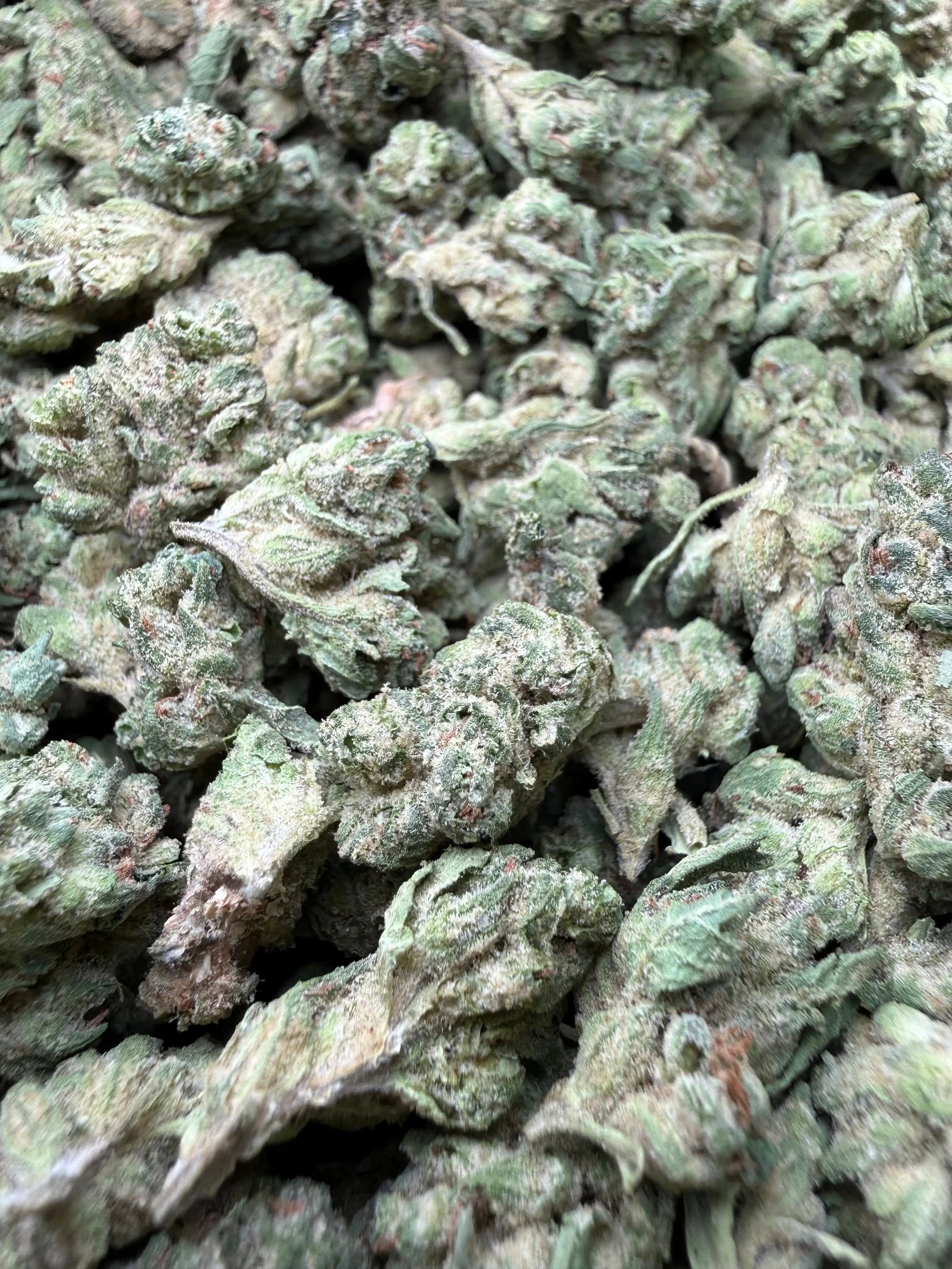 1 Pound - Zlurpe Lulu THCA Strain (Small) Frisco Labs