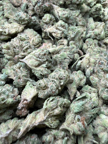 1 Pound - Zlurpe Lulu THCA Strain (Small) Frisco Labs