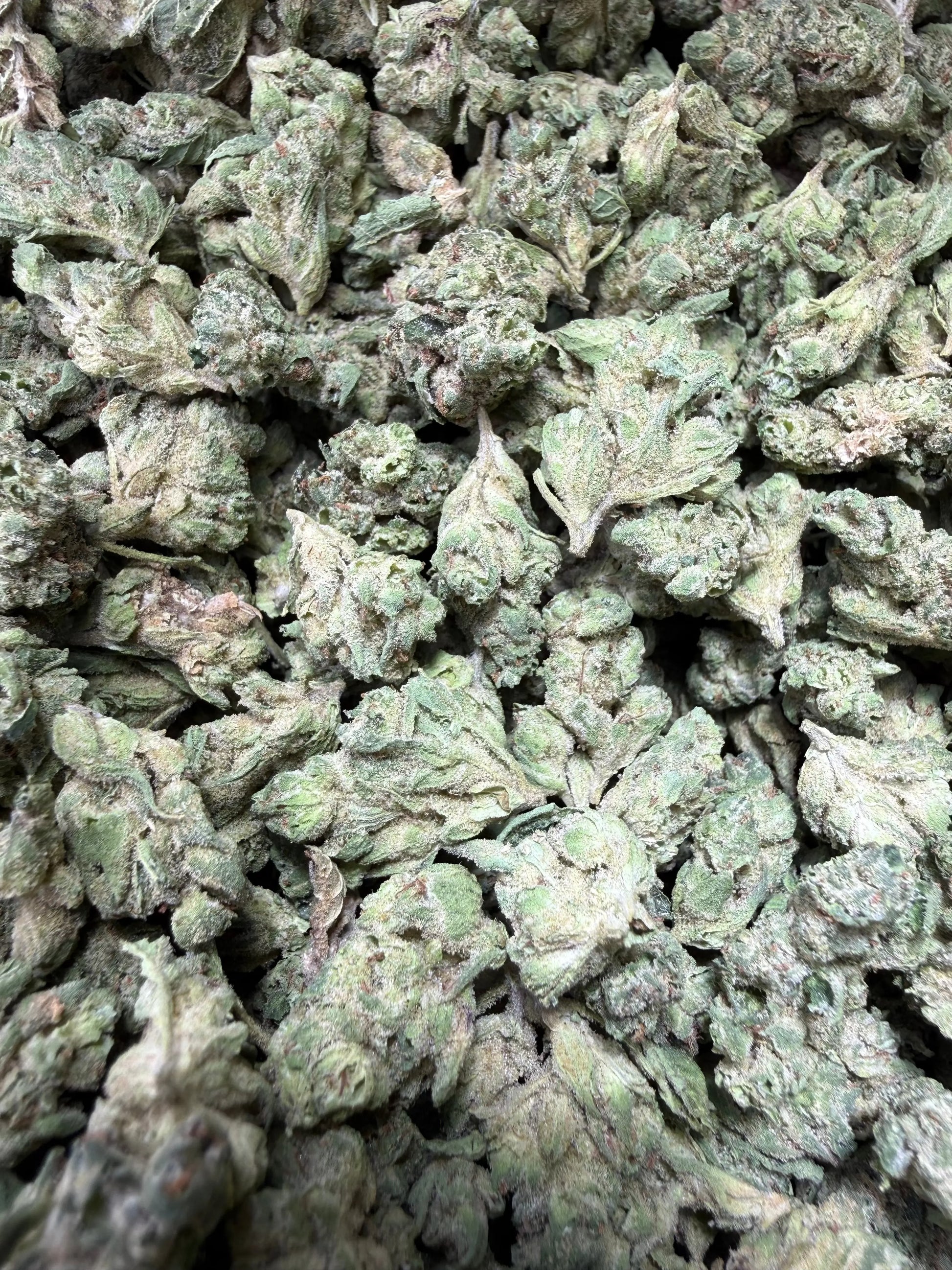 1 Pound - Zlurpe Lulu THCA Strain (Small) Frisco Labs