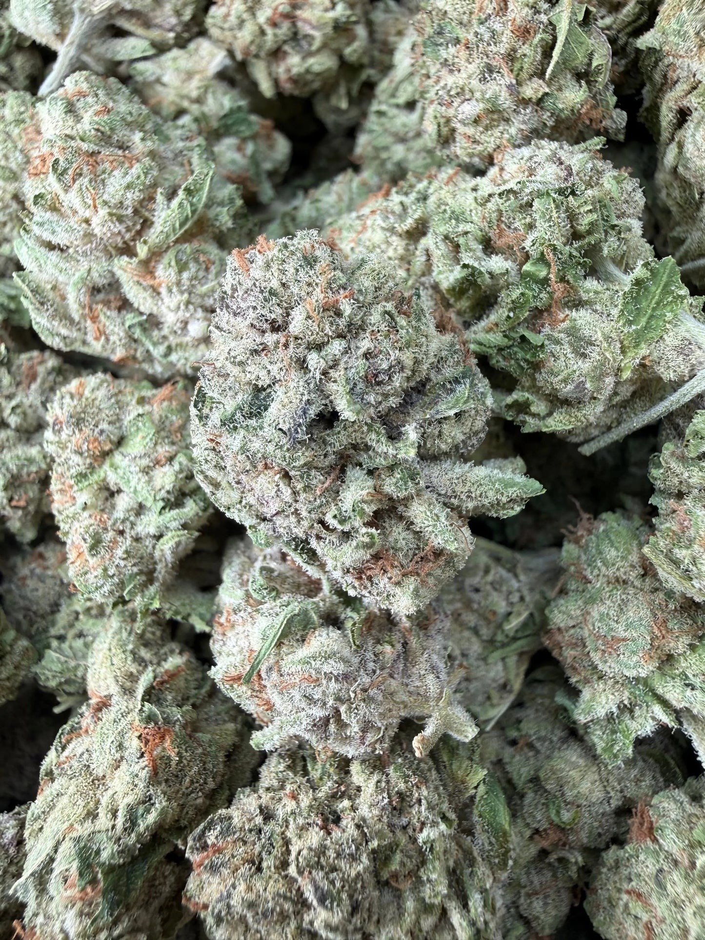 1 Pound - Zurple Lulu THCA Strain Frisco Labs
