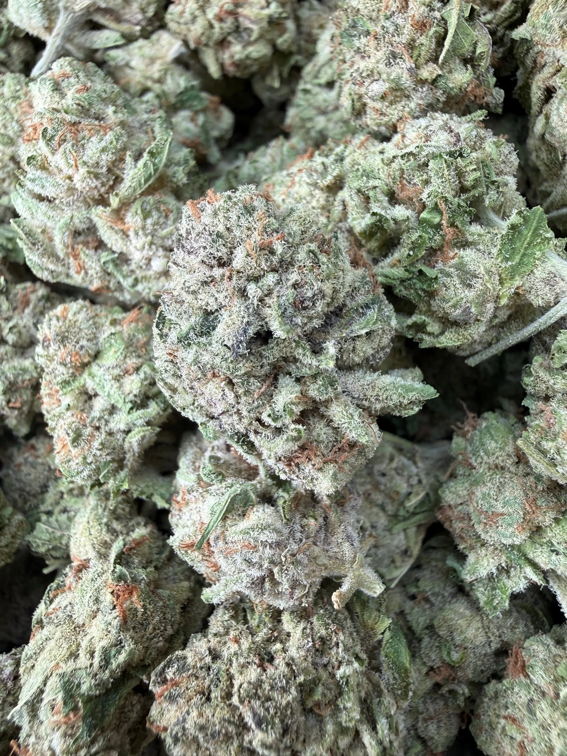 1 Pound - Zurple Lulu THCA Strain Frisco Labs