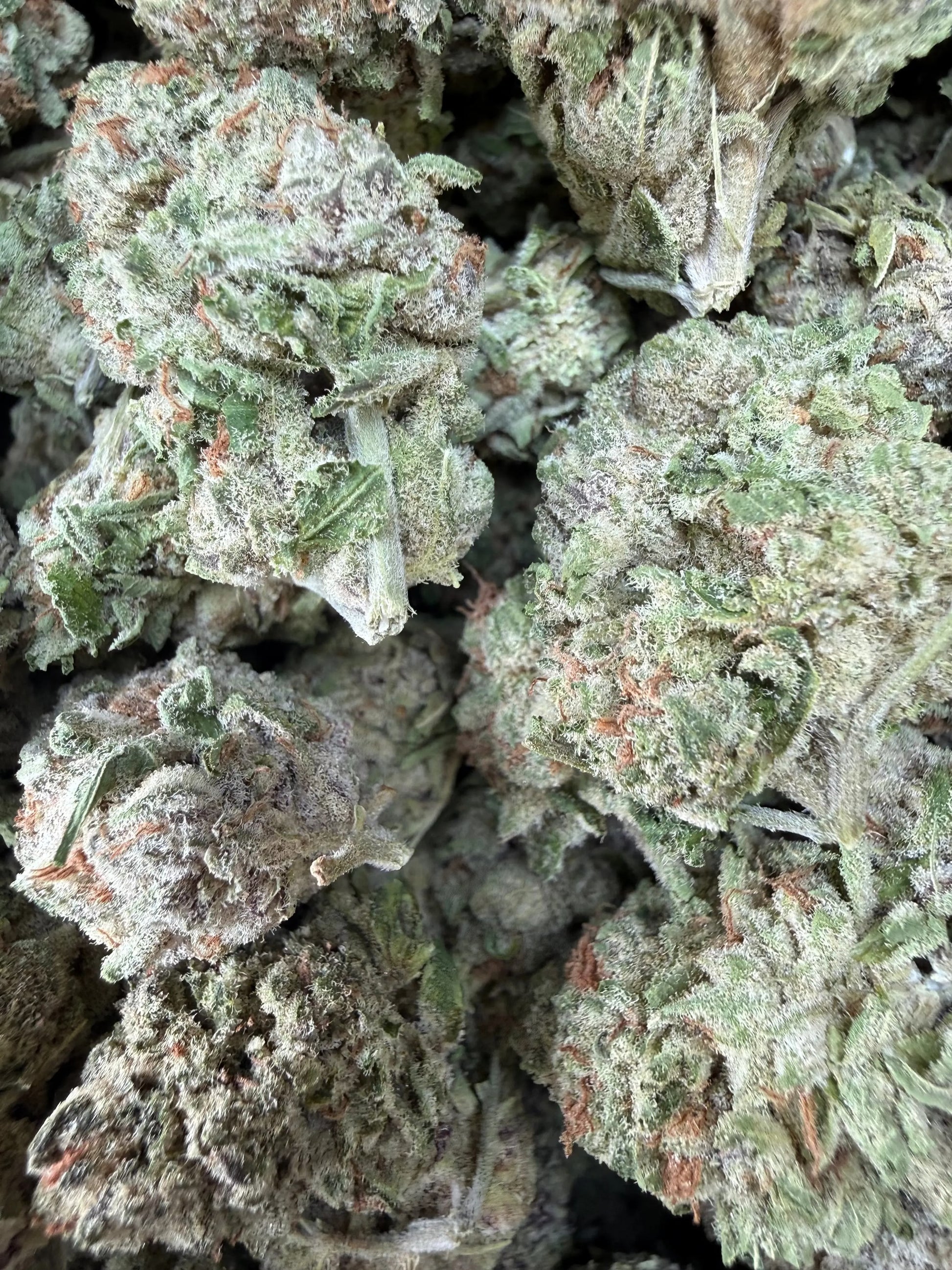 1 Pound - Zurple Lulu THCA Strain Frisco Labs