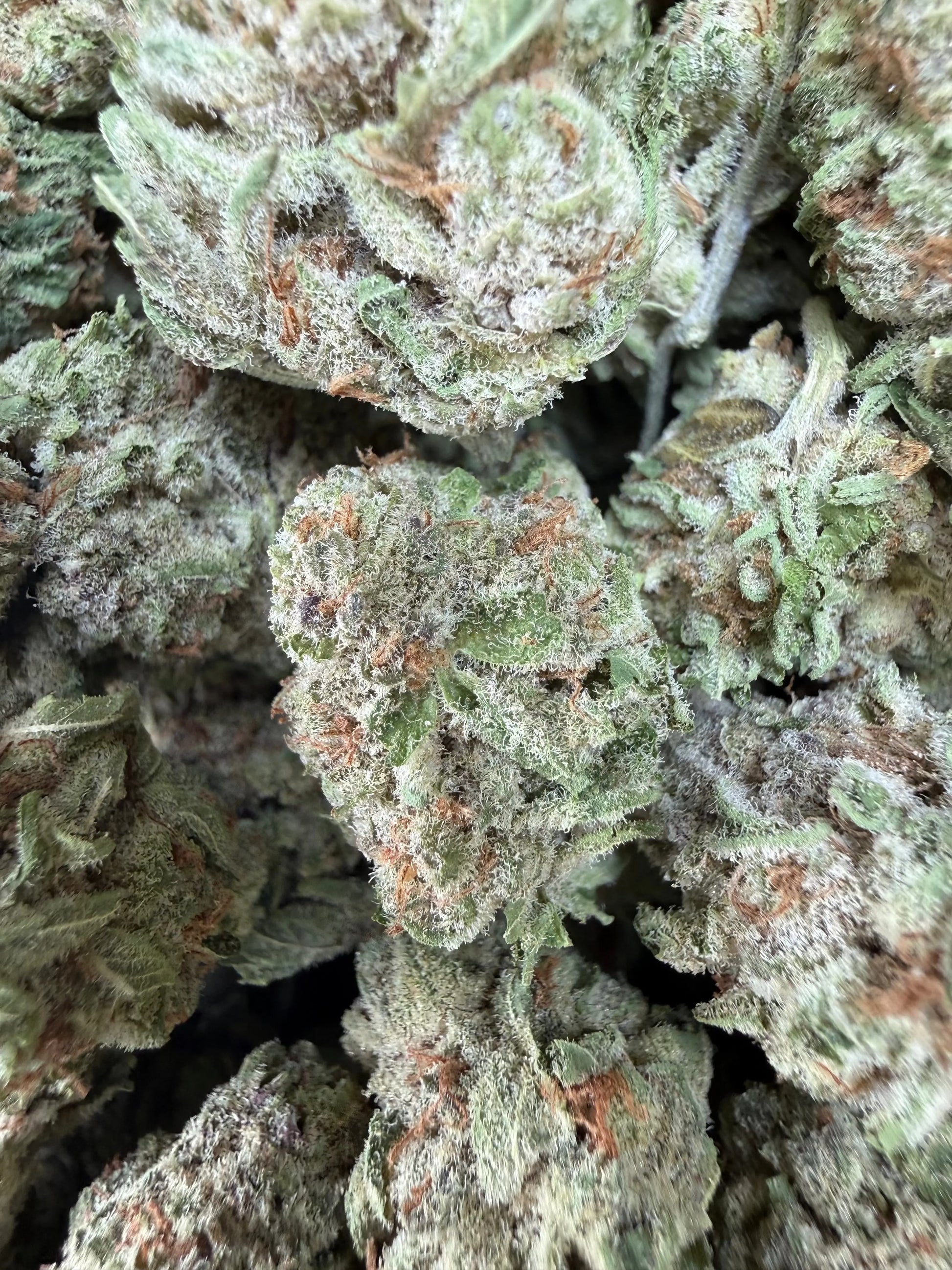 1 Pound - Zurple Lulu THCA Strain Frisco Labs