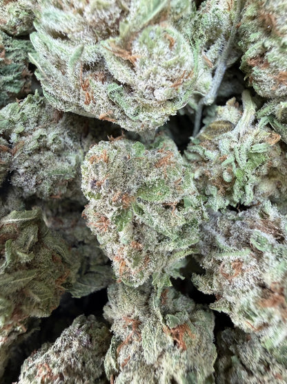 1 Pound - Zurple Lulu THCA Strain Frisco Labs