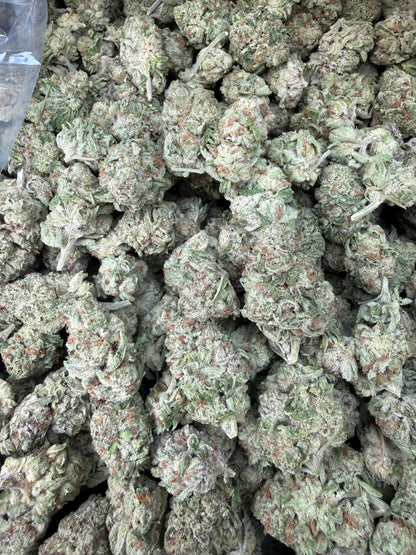 1 Pound - Zurple Lulu THCA Strain Frisco Labs