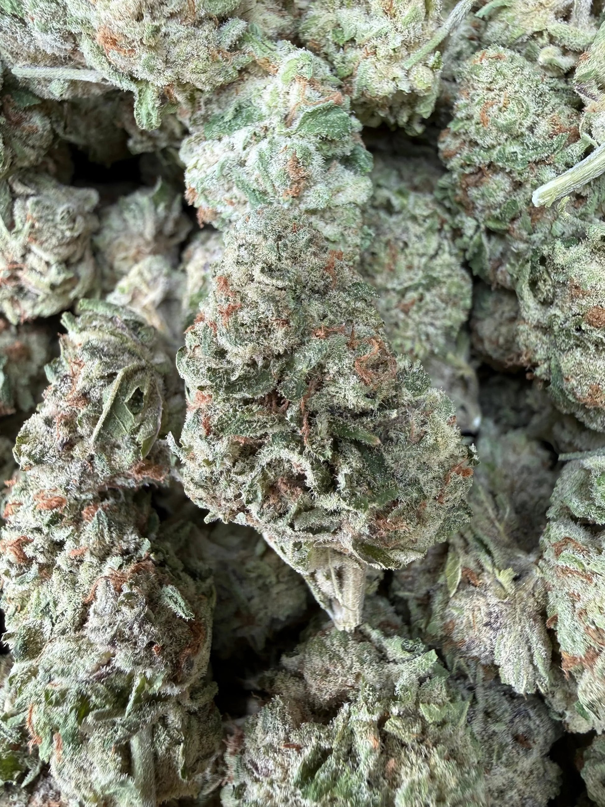 1 Pound - Zurple Lulu THCA Strain Frisco Labs