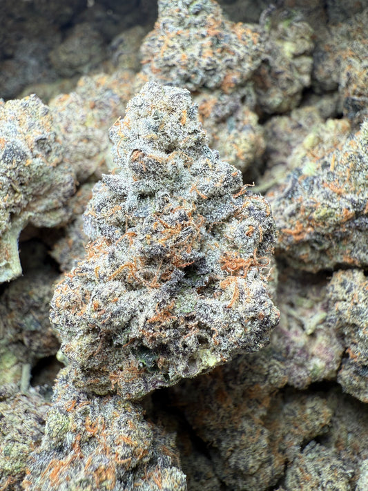 💎 1 Pound – AAA Candy Rain (Indoor) THCA Flower Frisco Labs