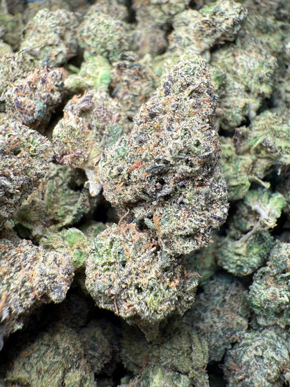 1 Pound – AAA Pink Panties | Exotic Indoor THCA Flower | 28%+ THCA FL Fulfillment Center