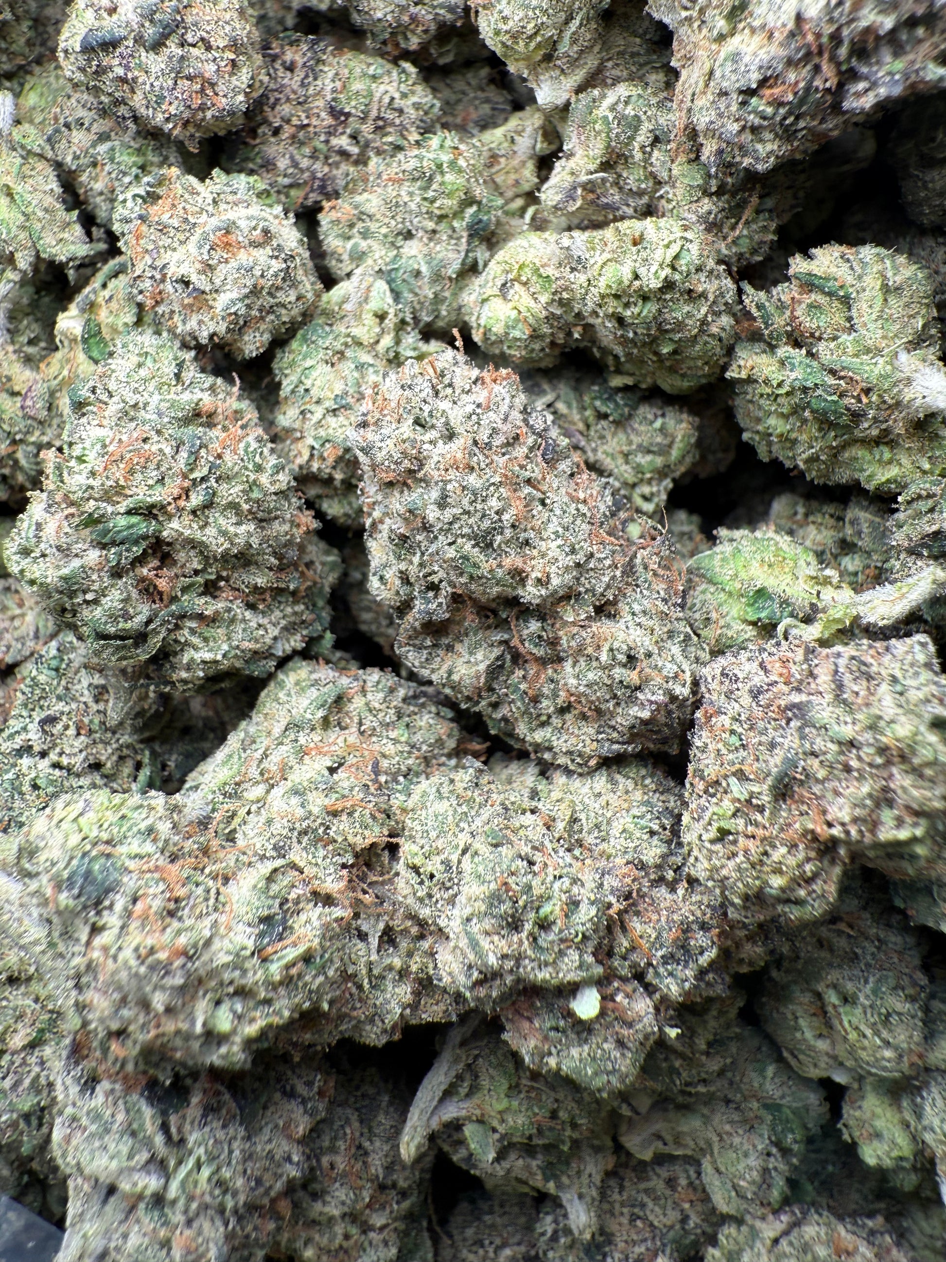 1 Pound – AAA Pink Panties | Exotic Indoor THCA Flower | 28%+ THCA FL Fulfillment Center