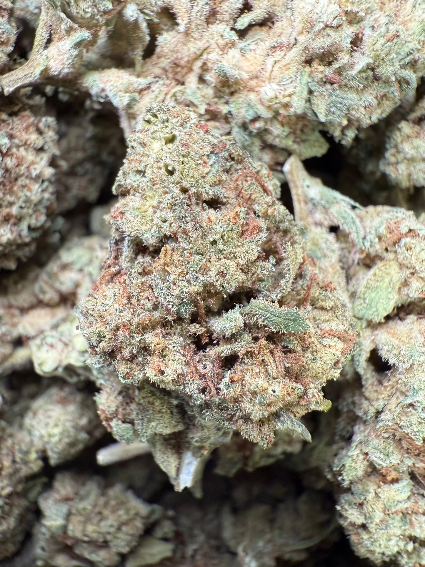 1 Pound of Alien OG THCA FL Fulfillment Center