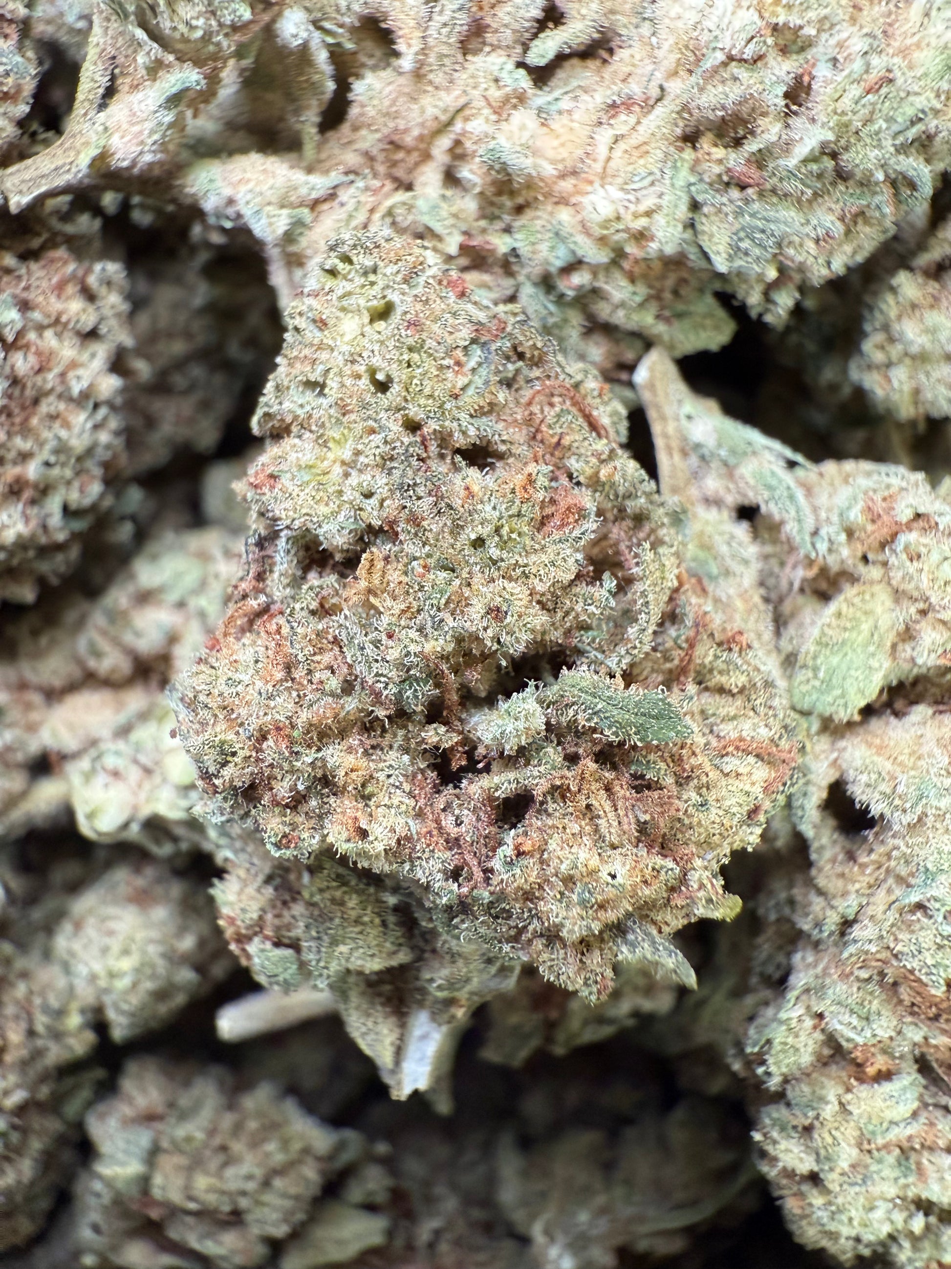 1 Pound of Alien OG THCA FL Fulfillment Center
