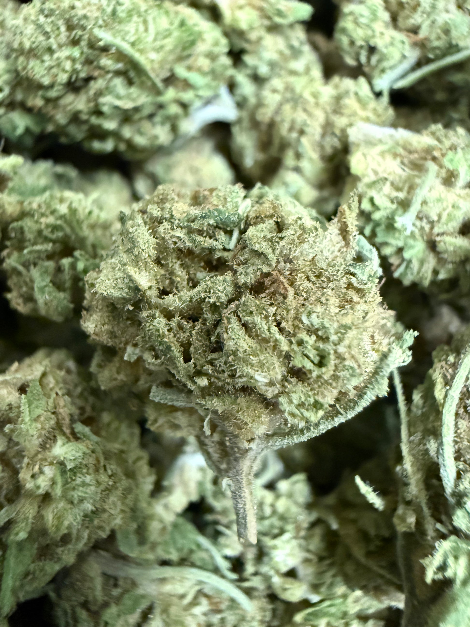 1 Pound of Banana Cream Cake Jealously THCA (Smalls) FL Fulfillment Center