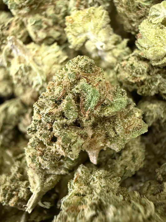 1 Pound of Catholic School Girl THCA (Smalls) FL Fulfillment Center