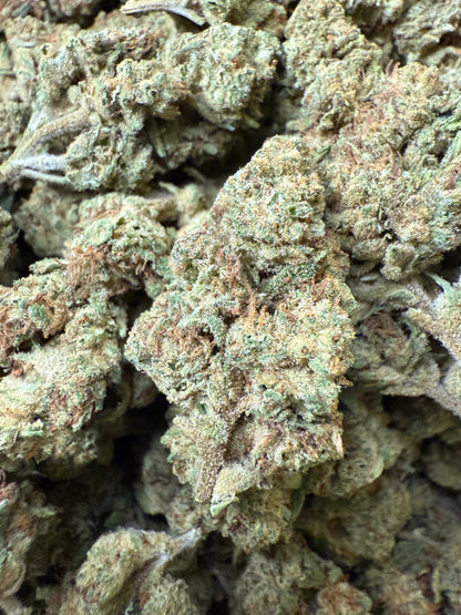 1 Pound of Electric Lemon G THCA FL Fulfillment Center