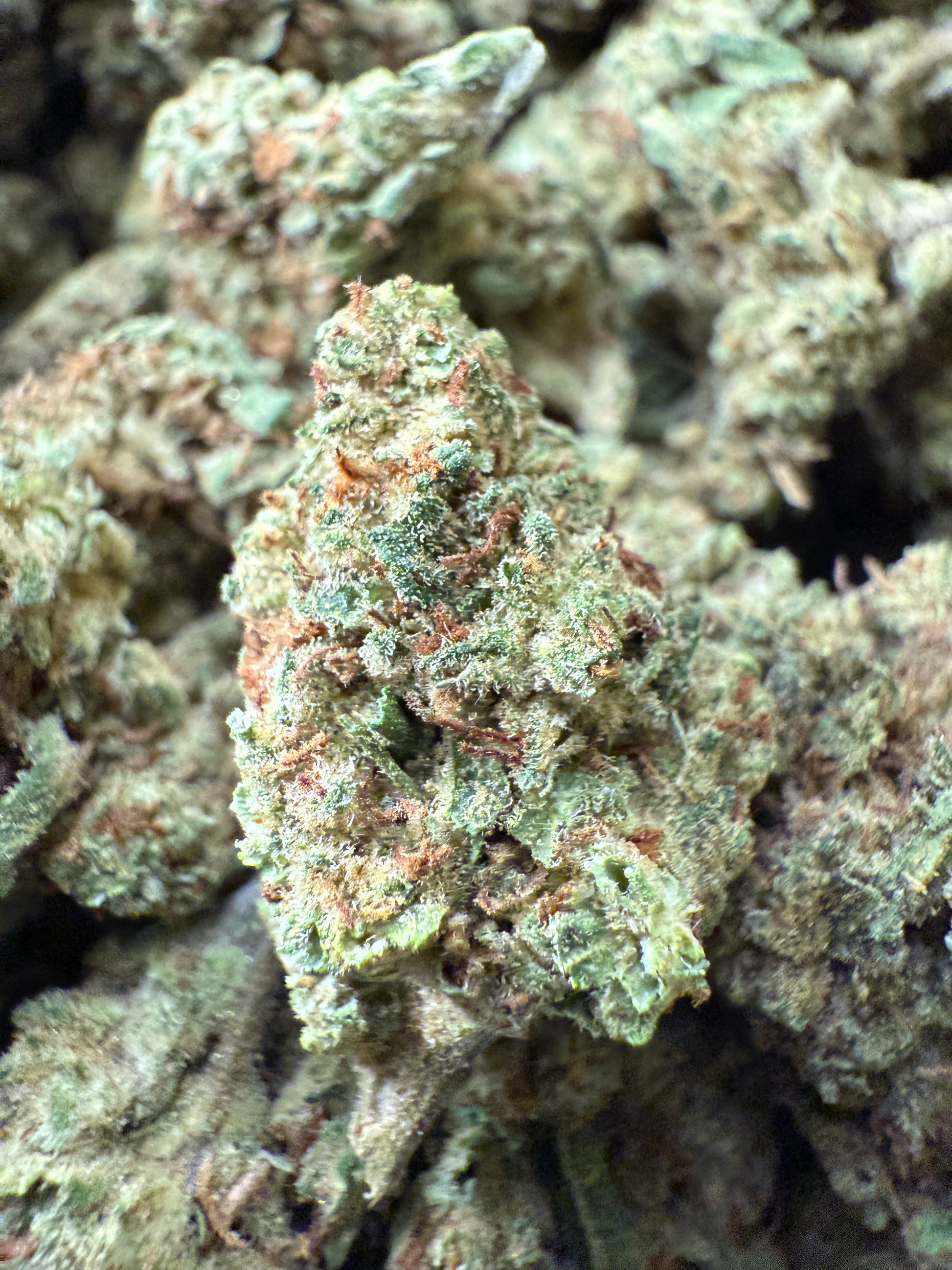 1 Pound of Electric Lemon G THCA FL Fulfillment Center