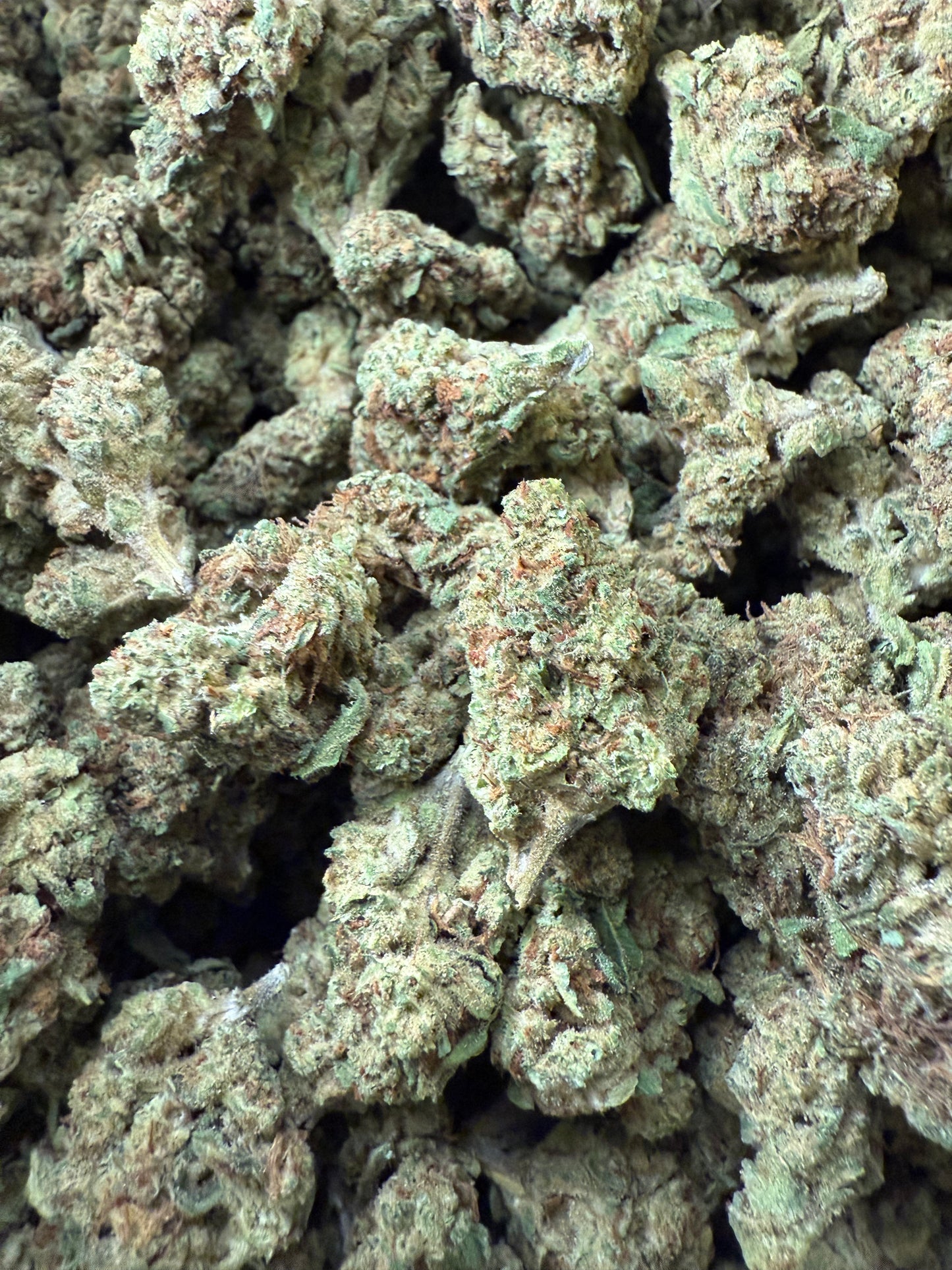 1 Pound of Electric Lemon G THCA FL Fulfillment Center