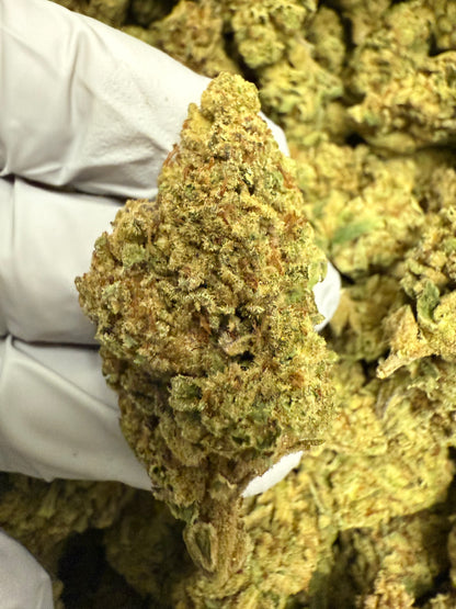 1 Pound of Frosted Donut THCA FL Fulfillment Center