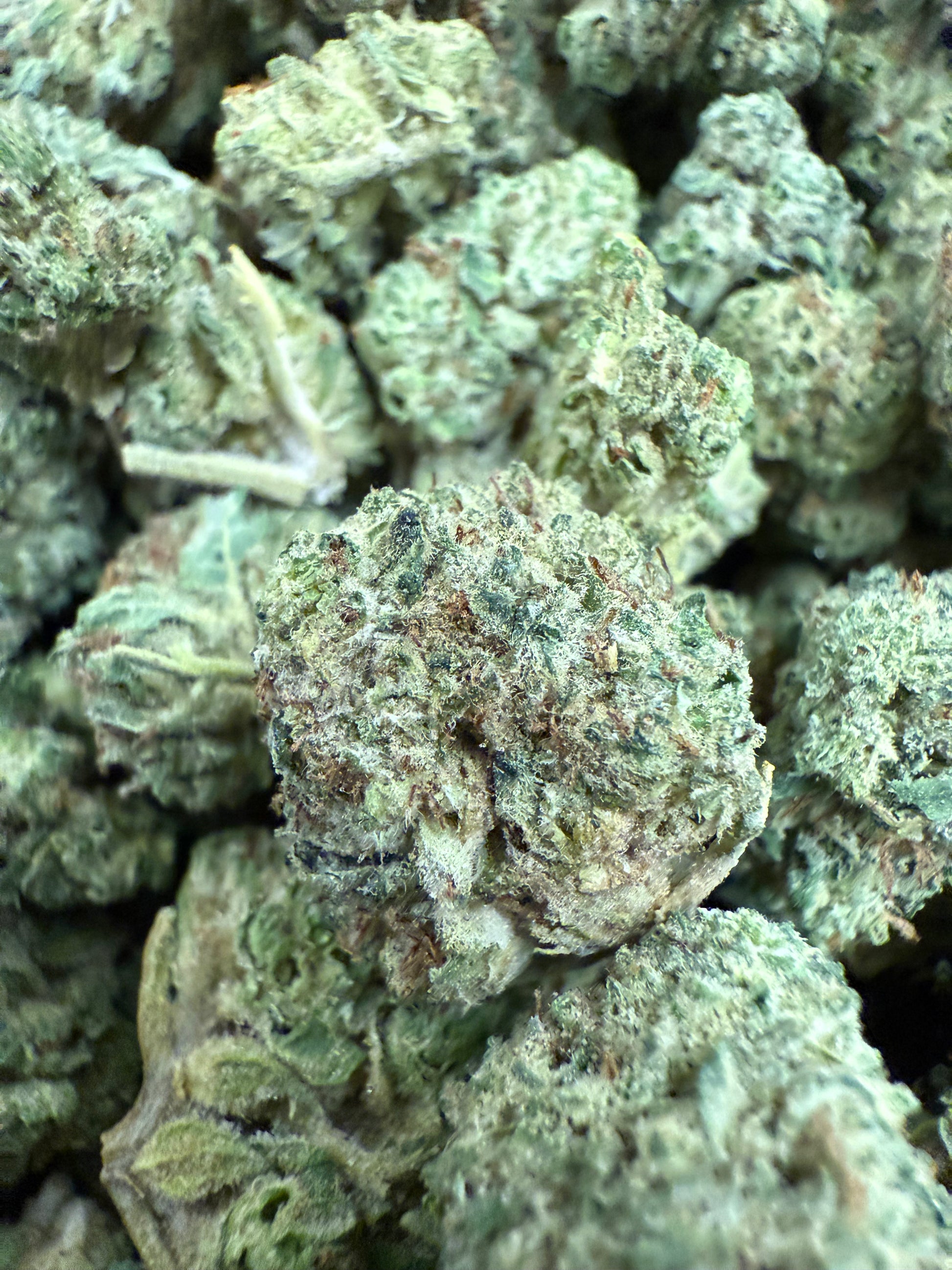 1 Pound of Gelato Punch Strain THCA (Smalls) FL Fulfillment Center