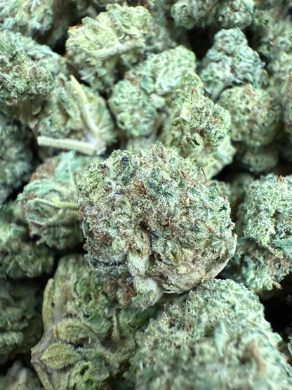 1 Pound of Gelato Punch Strain THCA (Smalls) FL Fulfillment Center