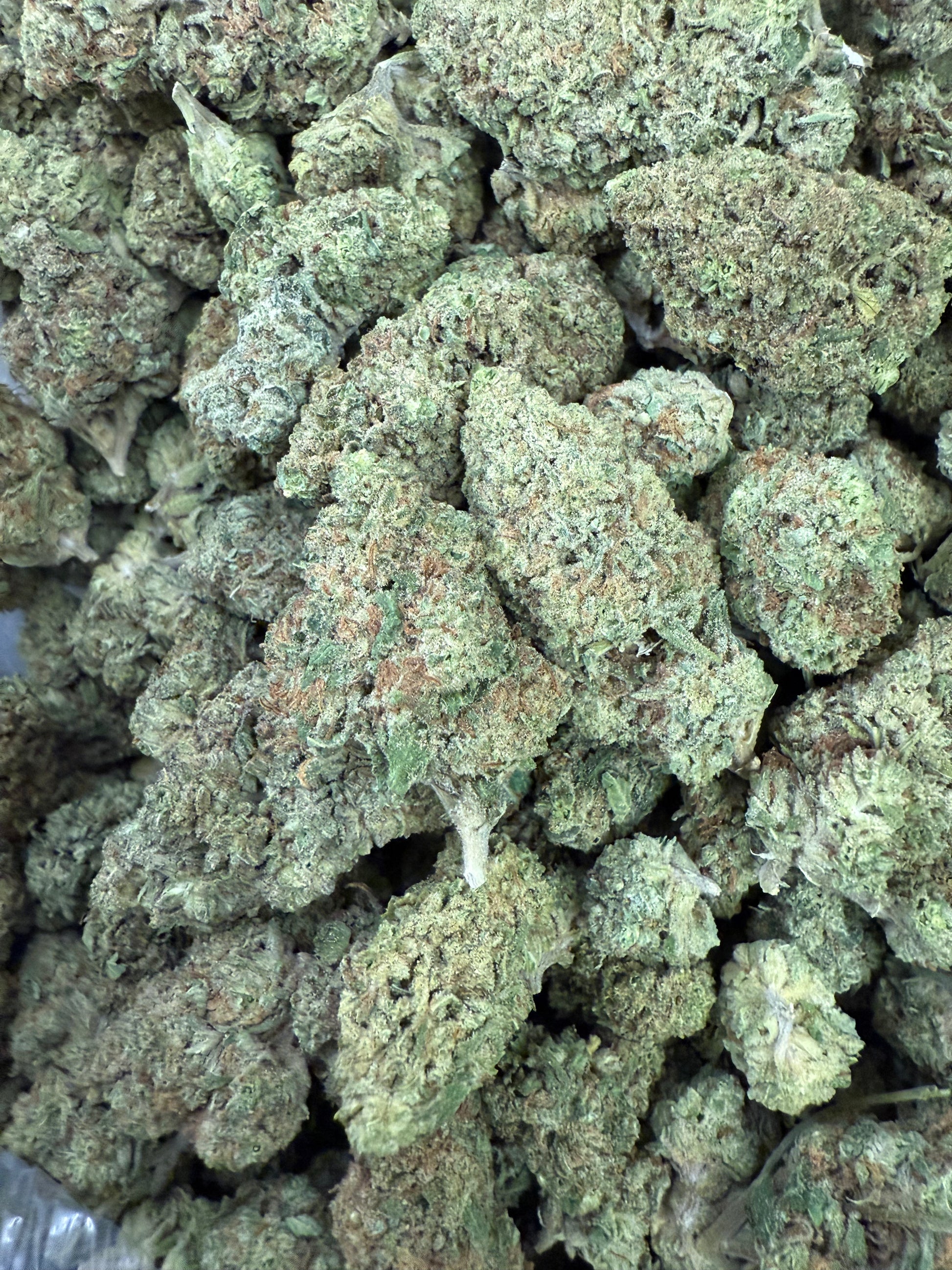 1 Pound of Gelato Punch THCA FL Fulfillment Center
