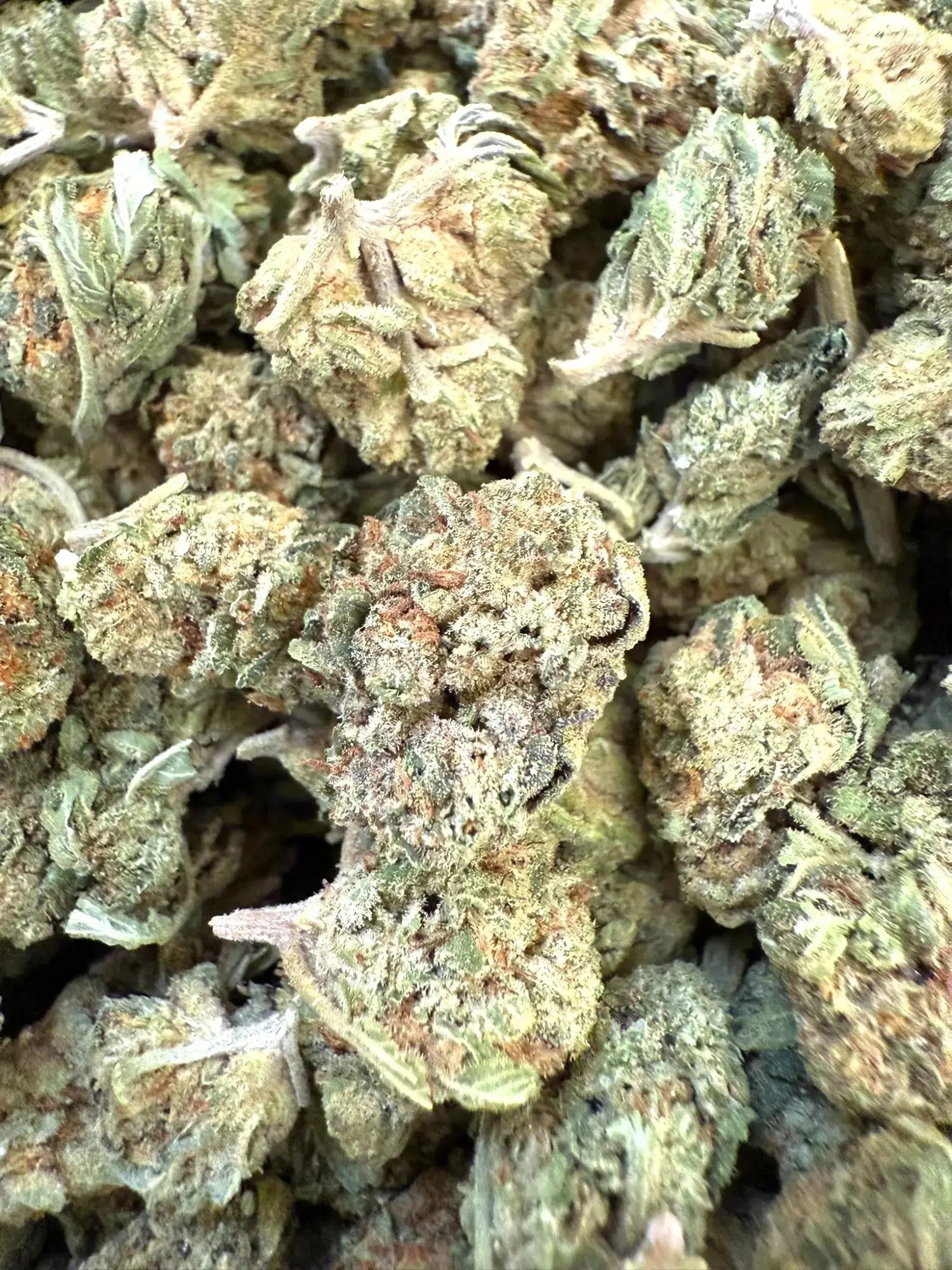 1 Pound of Gelato #41 THCA (Smalls) FL Fulfillment Center