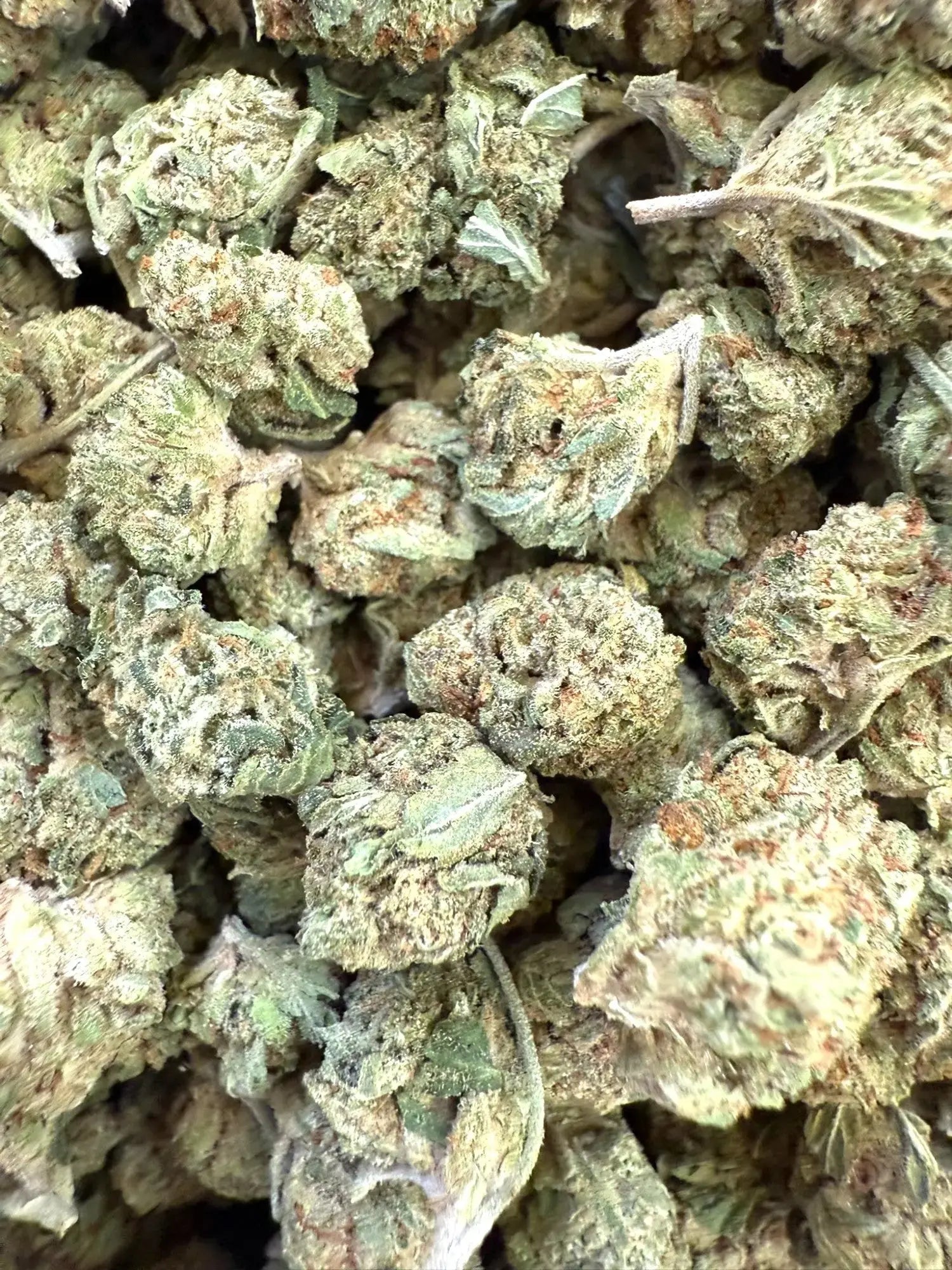 1 Pound of Gelato #41 THCA (Smalls) FL Fulfillment Center