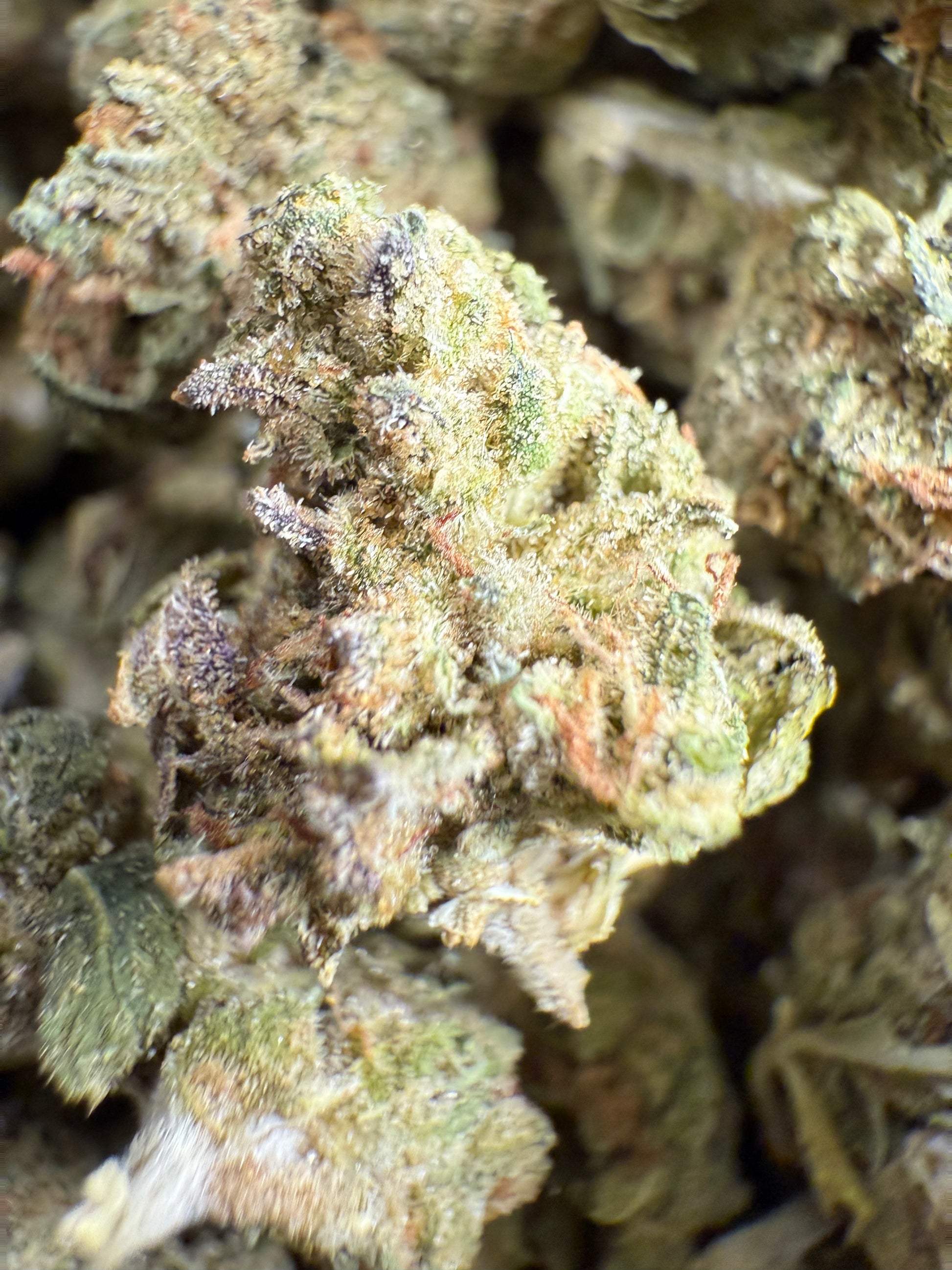 1 Pound of Grape Muffin THCA (Smalls) FL Fulfillment Center