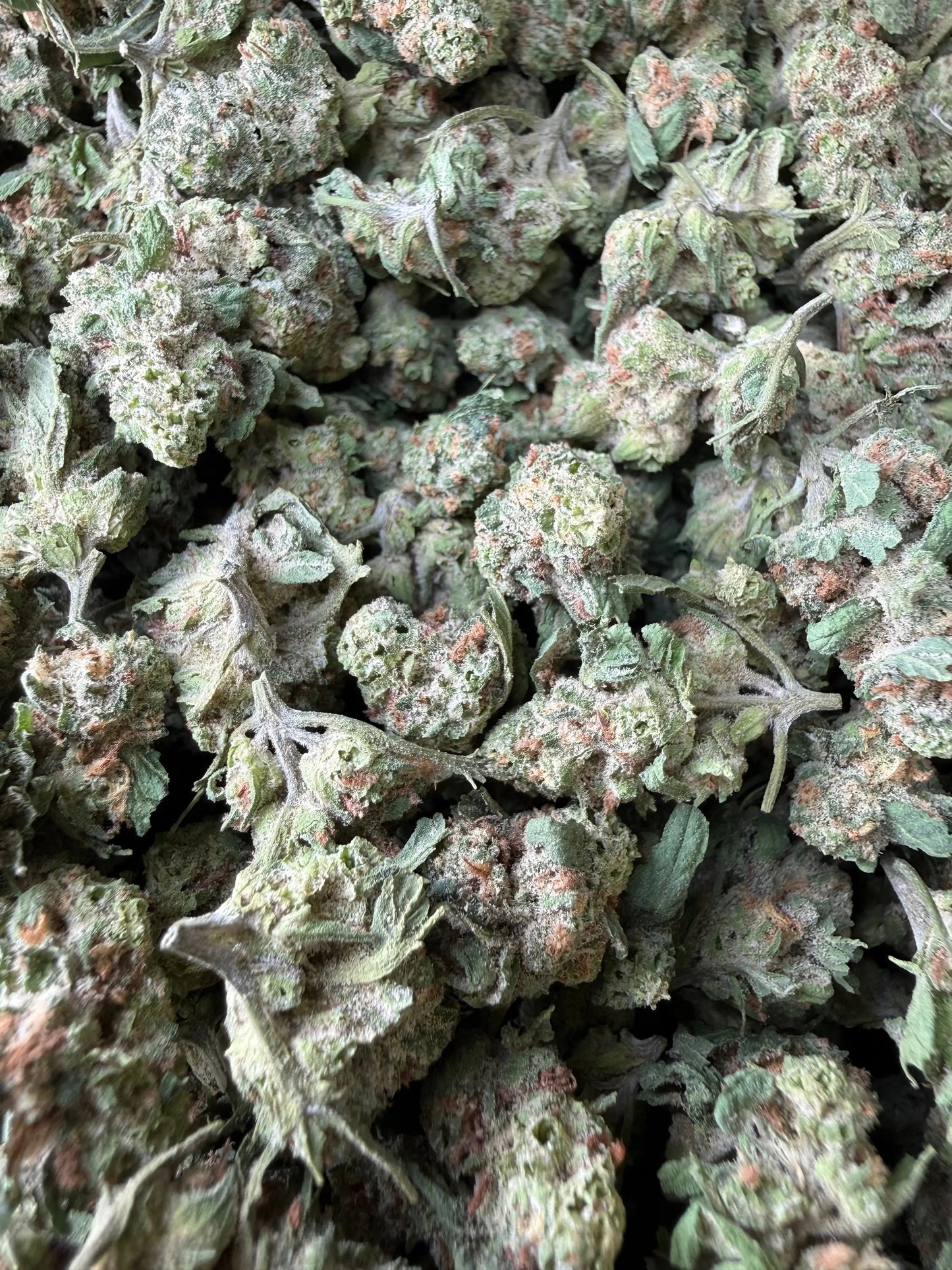 1 Pound of Grape Muffinz THCA (Smalls) FL Fulfillment Center