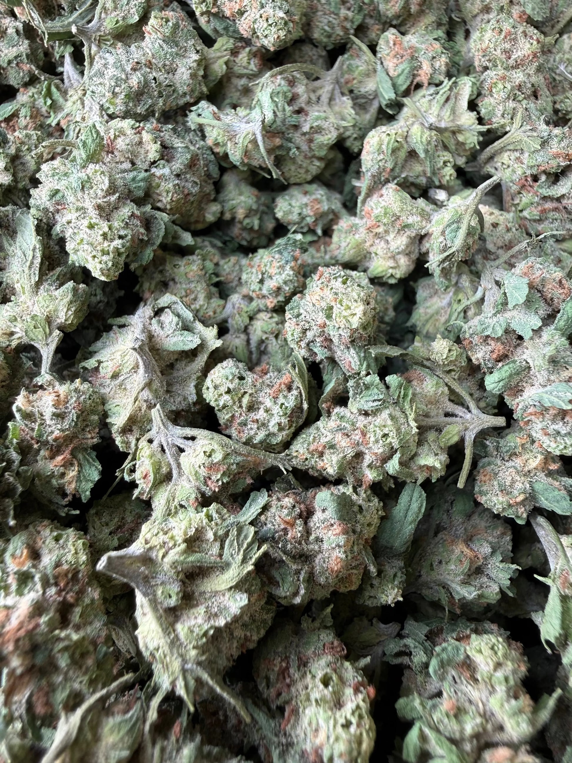 1 Pound of Grape Muffinz THCA (Smalls) FL Fulfillment Center