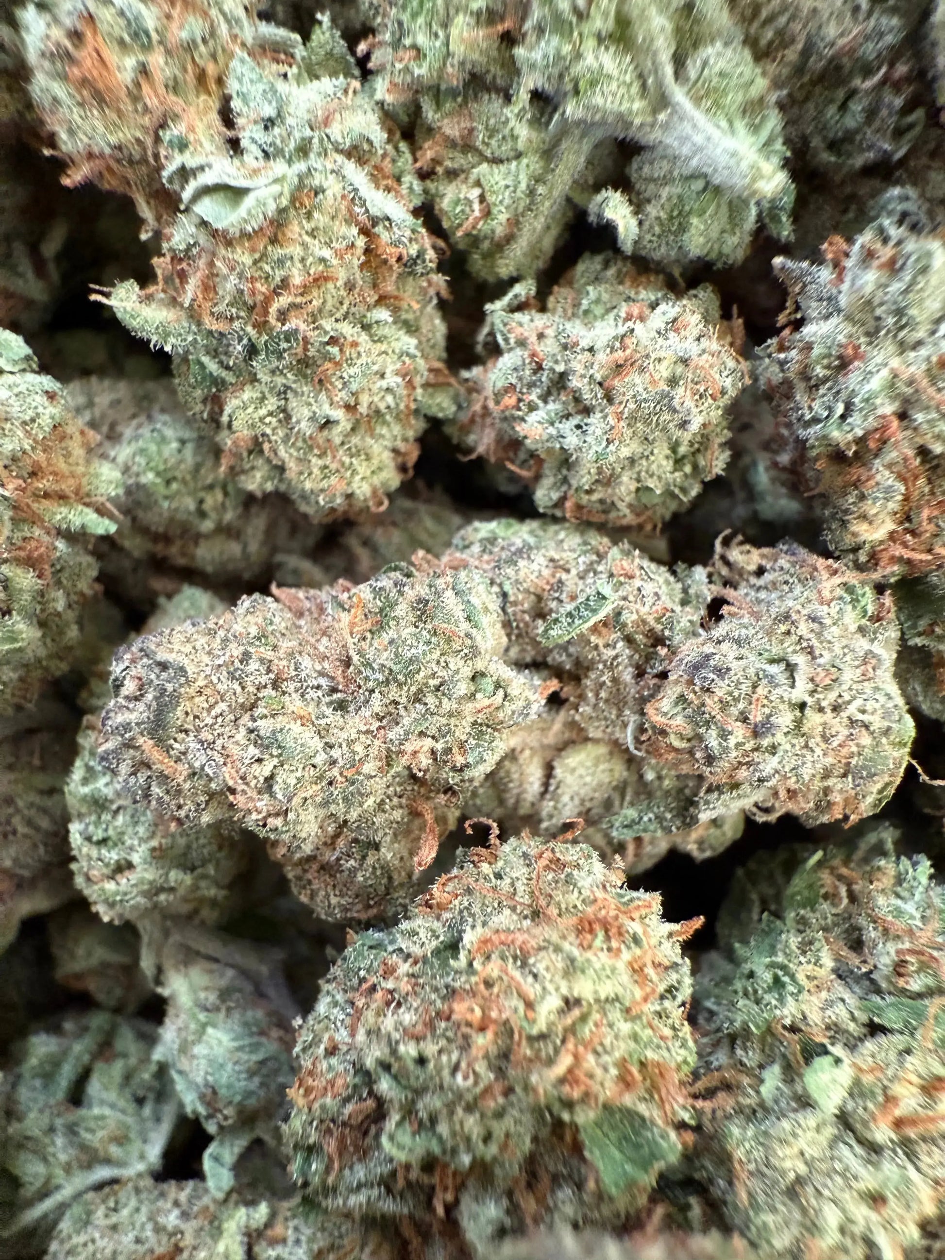 1 Pound of Gush Mint THCA FL Fulfillment Center