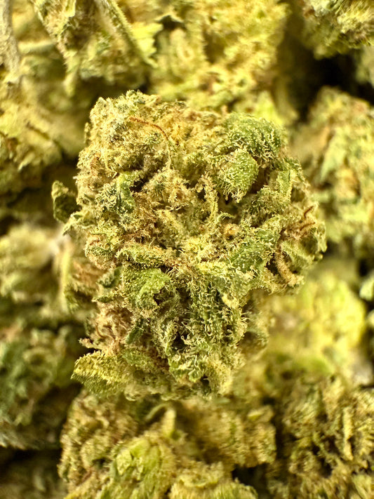 1 Pound of Lemon Cherry Gelato THCA (Smalls) FL Fulfillment Center