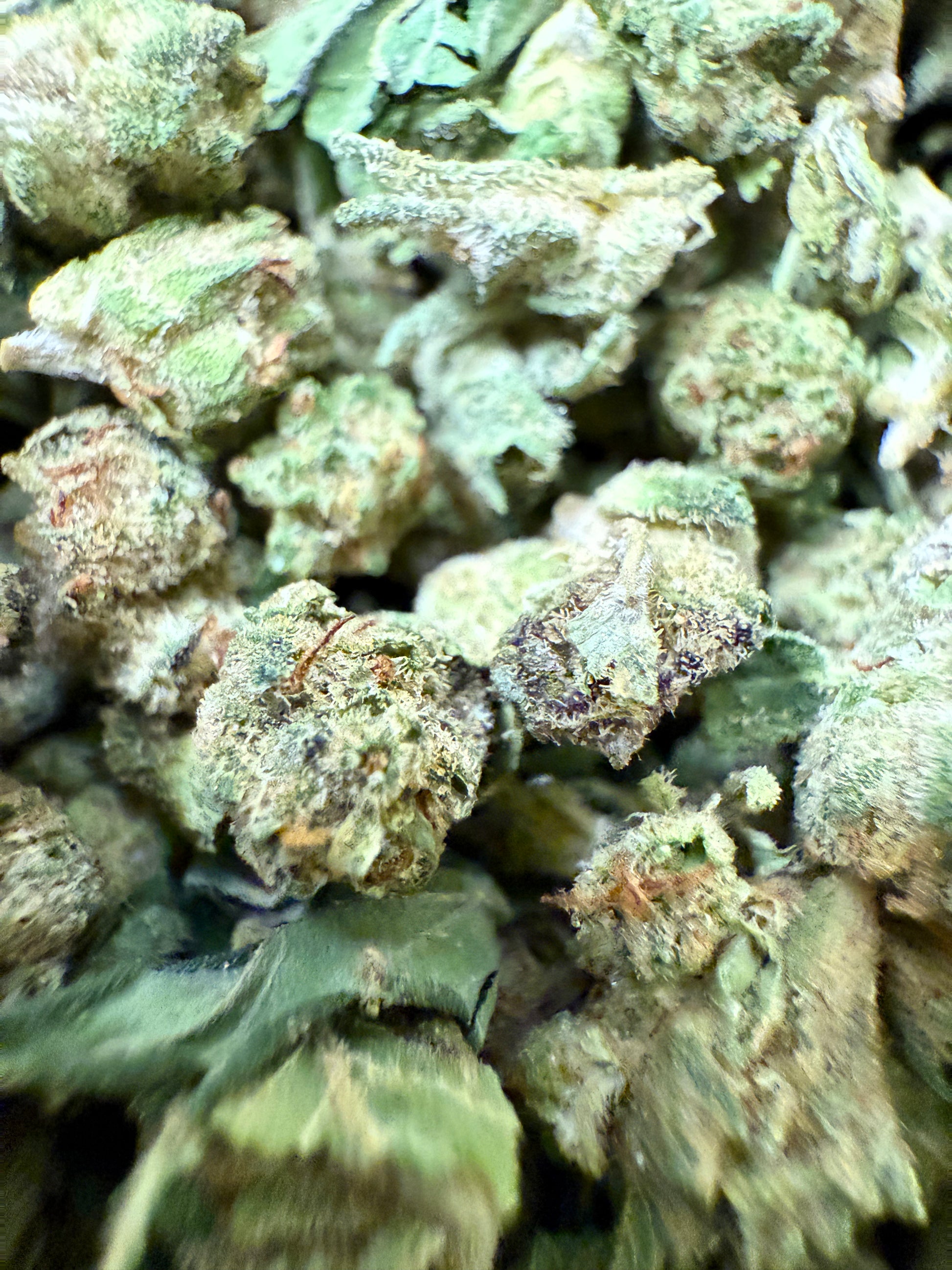 1 Pound of Offend #21 THCA (Micro) FL Fulfillment Center